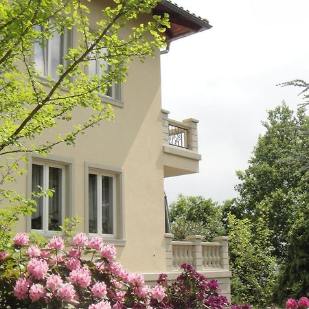 Ferienwohnung Dennstedt Wilkau-Hasslau エクステリア 写真