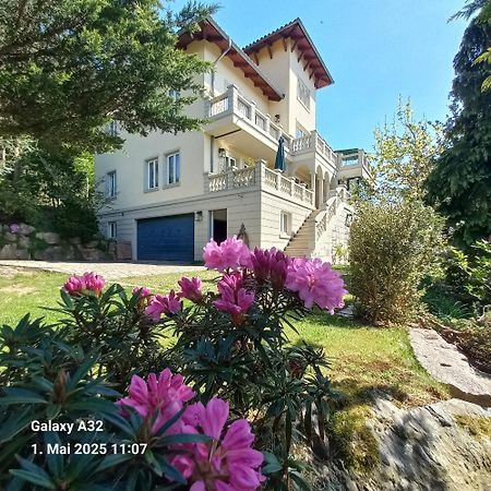 Ferienwohnung Dennstedt Wilkau-Hasslau エクステリア 写真