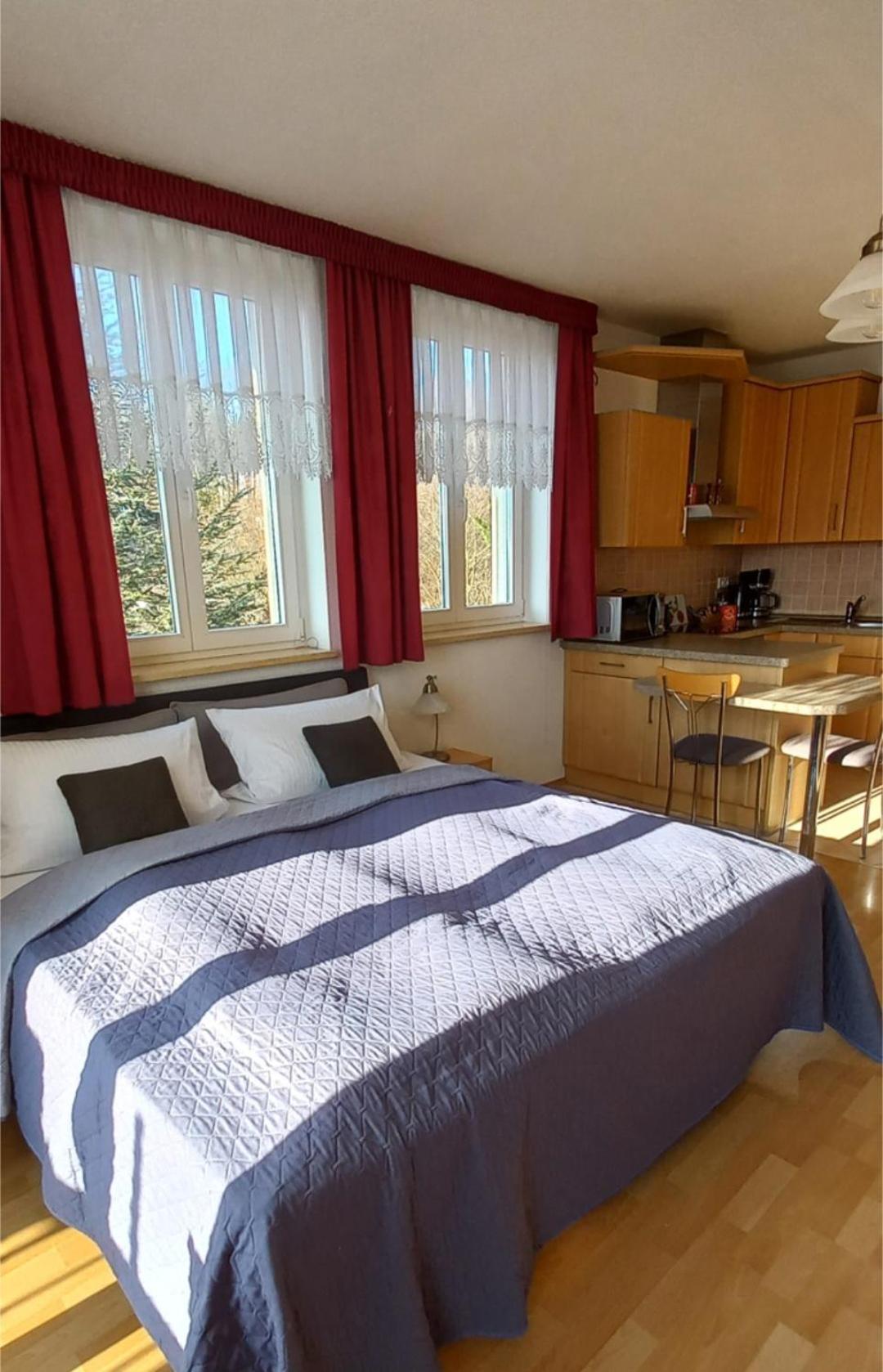 Ferienwohnung Dennstedt Wilkau-Hasslau エクステリア 写真